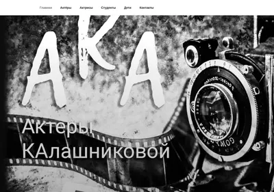 Снимок главной страницы aka-agent.ru