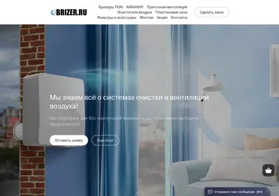Снимок главной страницы brizer.ru