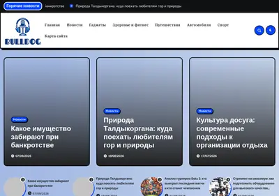 Снимок главной страницы bulldog.su