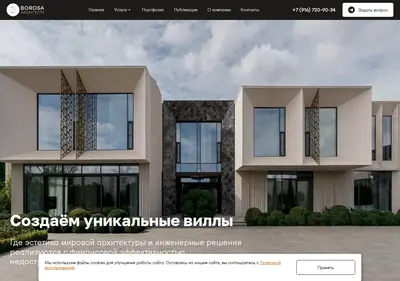 Снимок главной страницы borosa.ru