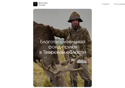 Снимок главной страницы bratstvolosey.ru