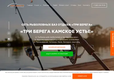 Снимок главной страницы 3berega.ru