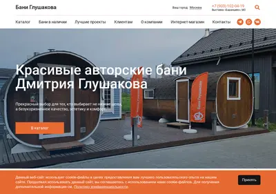 Снимок главной страницы baniglushakova.ru