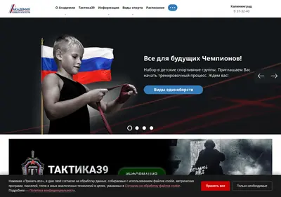 Снимок главной страницы abirf.ru