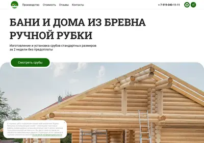 Снимок главной страницы bestsrub60.ru