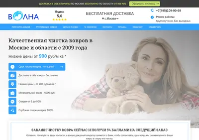 Снимок главной страницы chistka-kovrov.ru
