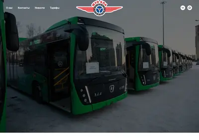 Снимок главной страницы mupkpa.su