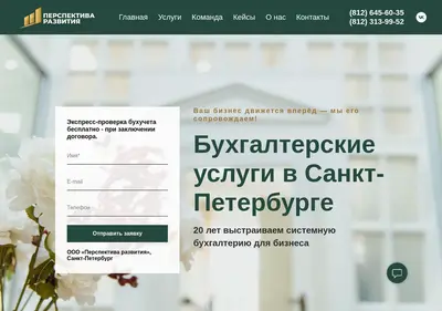 Снимок главной страницы buhychet.ru