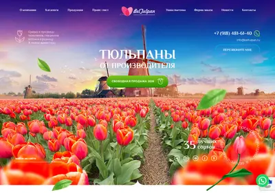Снимок главной страницы beltulpan.ru
