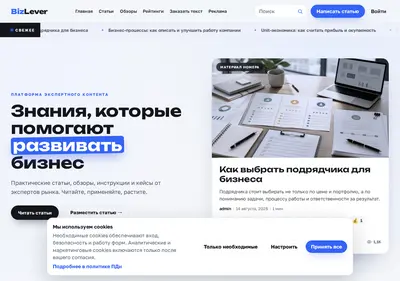 Снимок главной страницы bizlever.ru