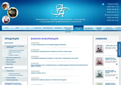 Снимок главной страницы alinanova.ru