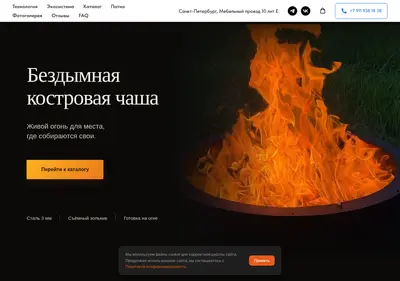 Снимок главной страницы chistoeplamya.ru