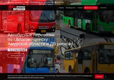 Снимок главной страницы autobus28.ru