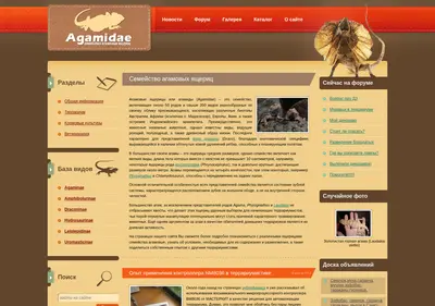 Снимок главной страницы agama.su