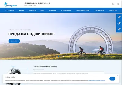 Снимок главной страницы bearingstore.ru