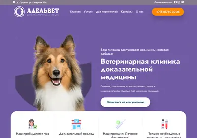 Снимок главной страницы adelvet.ru
