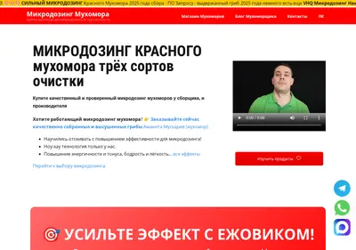 Снимок главной страницы carsneo.ru