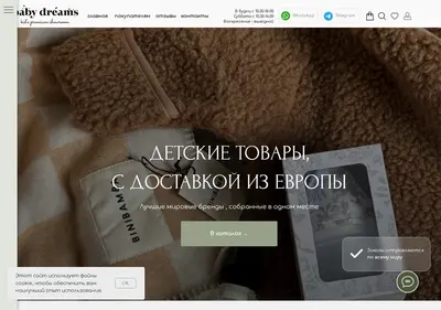 Снимок главной страницы babydreams24.ru
