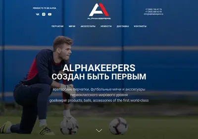 Снимок главной страницы alphakeepers.ru