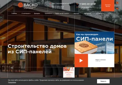 Снимок главной страницы bor-ecopan.ru