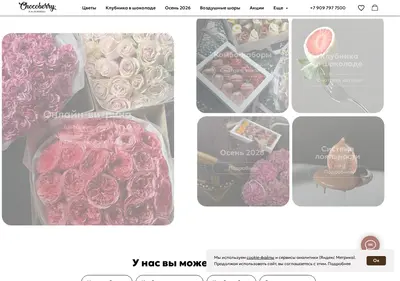 Снимок главной страницы choco-berry.ru