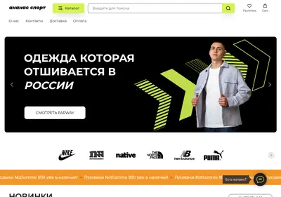 Снимок главной страницы ananas-store.ru
