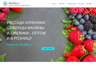 Снимок главной страницы bestberry23.ru
