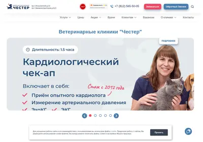 Снимок главной страницы chester-vet.ru