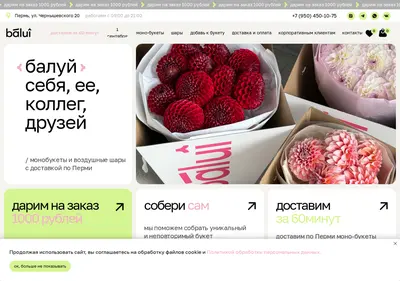 Снимок главной страницы baluiflowers.ru
