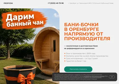 Снимок главной страницы bany-profcom.ru