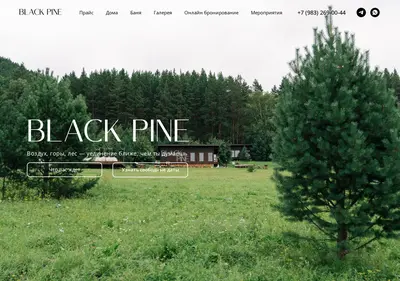 Снимок главной страницы black-pine.ru