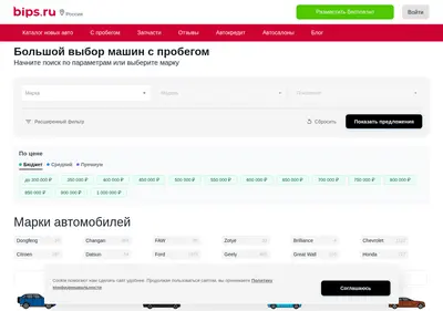Снимок главной страницы bips.ru