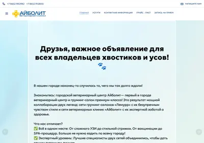 Снимок главной страницы aibolit26.ru