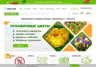 Снимок главной страницы chipollino-sad.ru