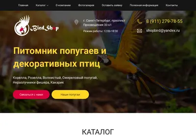 Снимок главной страницы bird-shop.ru