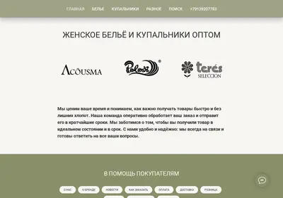 Снимок главной страницы acousma-shop.ru