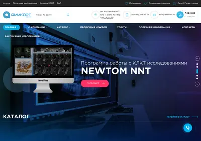 Снимок главной страницы amicort.ru