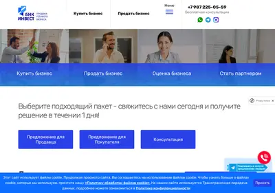 Снимок главной страницы bnk-invest.ru