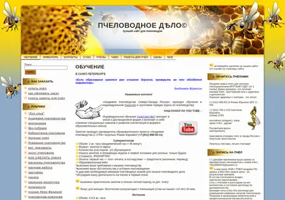 Снимок главной страницы apispb.ru