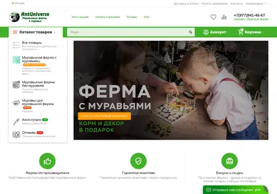 Снимок главной страницы ant-universe.ru