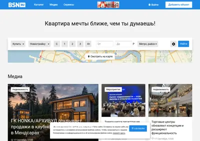 Снимок главной страницы bsn.ru