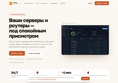 Снимок главной страницы netly.su