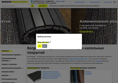 Снимок главной страницы b-sf.ru