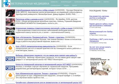 Снимок главной страницы allvet.ru