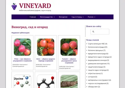 Снимок главной страницы vineyard.su