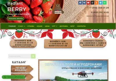 Снимок главной страницы berry23.ru
