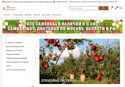 Снимок главной страницы carstvokorolevstvo.ru