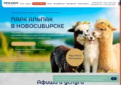 Снимок главной страницы alpakansk.ru