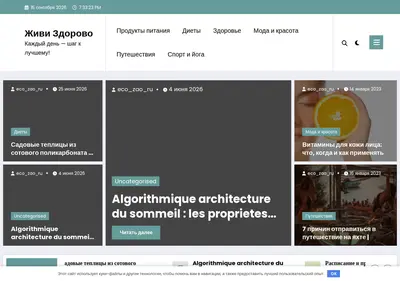 Снимок главной страницы artenis.ru