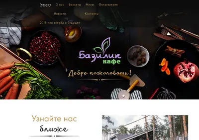 Снимок главной страницы bazilik-tlt.ru